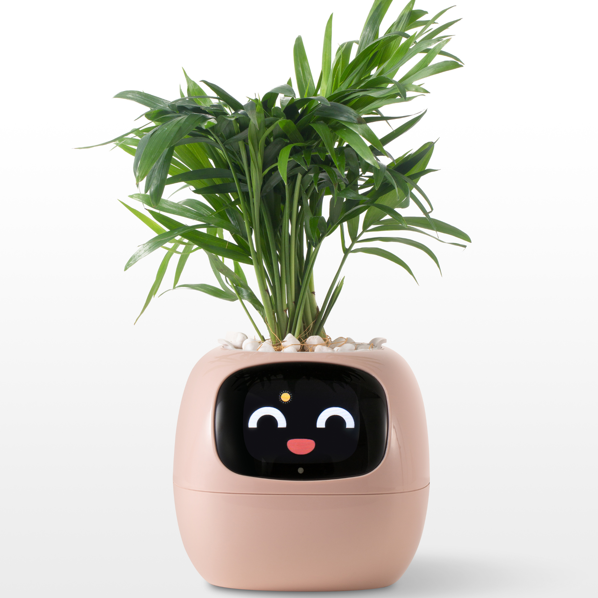 Emoji Virágcserép – Eredeti és Szórakoztató Dekoráció