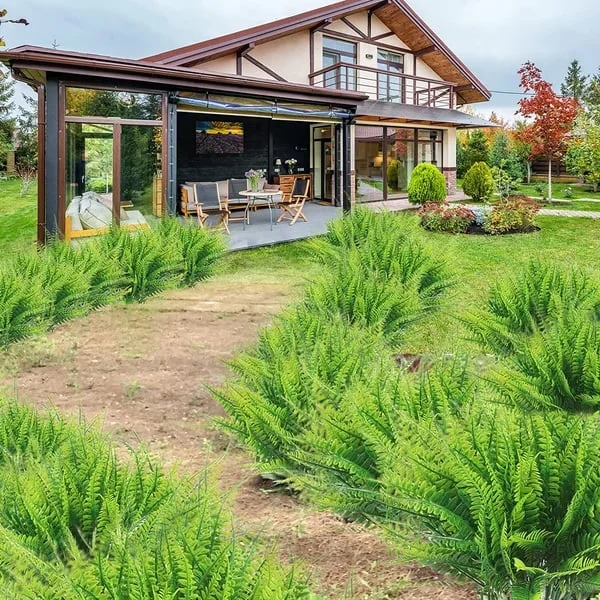 Dekoratívny umelý papraď – realistický vzhľad a dlhá životnosť