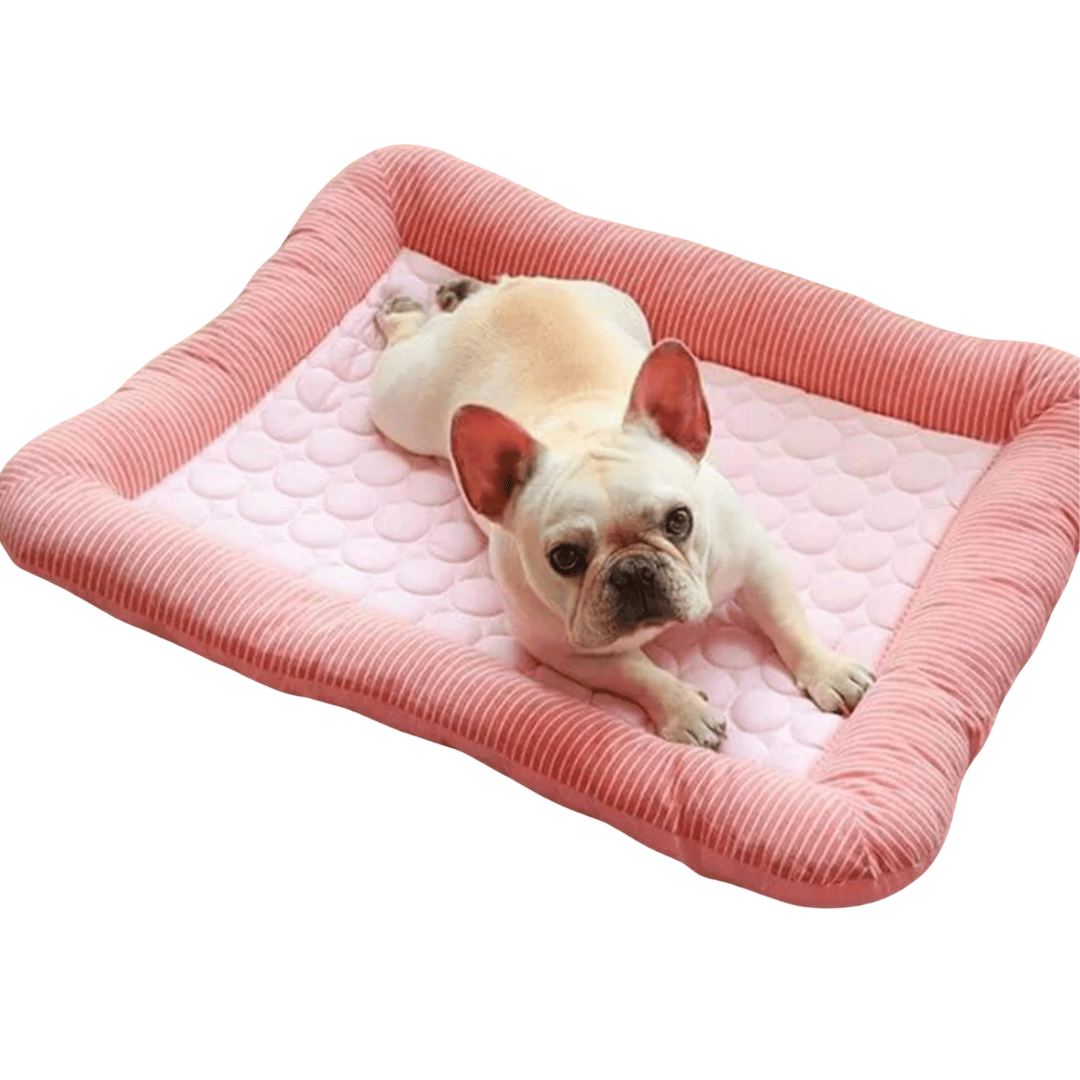 Cuscino Rinfrescante Per Cani – Freschezza E Comfort In Estate