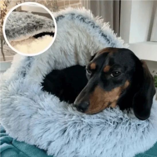 Cama de animais aconchegante Dreamcozy ™