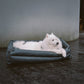 Siège Auto Pour Chien – Confort Et Protection