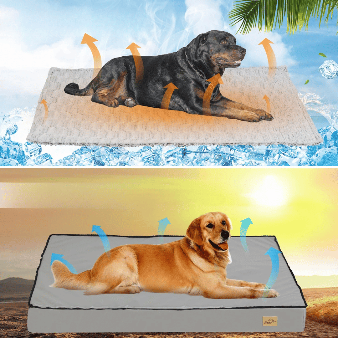 Cama Confortável Para Cão  – Ideal Para o Descanso e a Recuperação 
