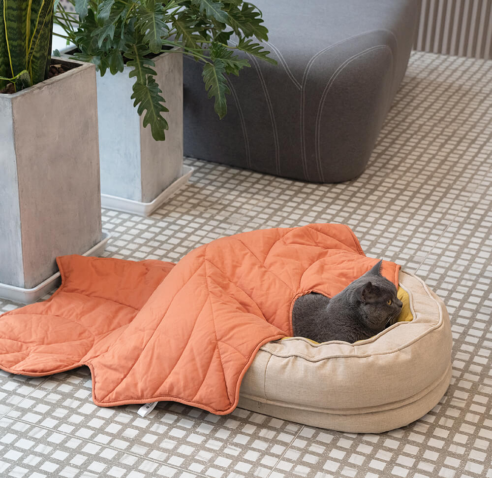 Dog Bed in Donut Shape – Comfort and Softness 