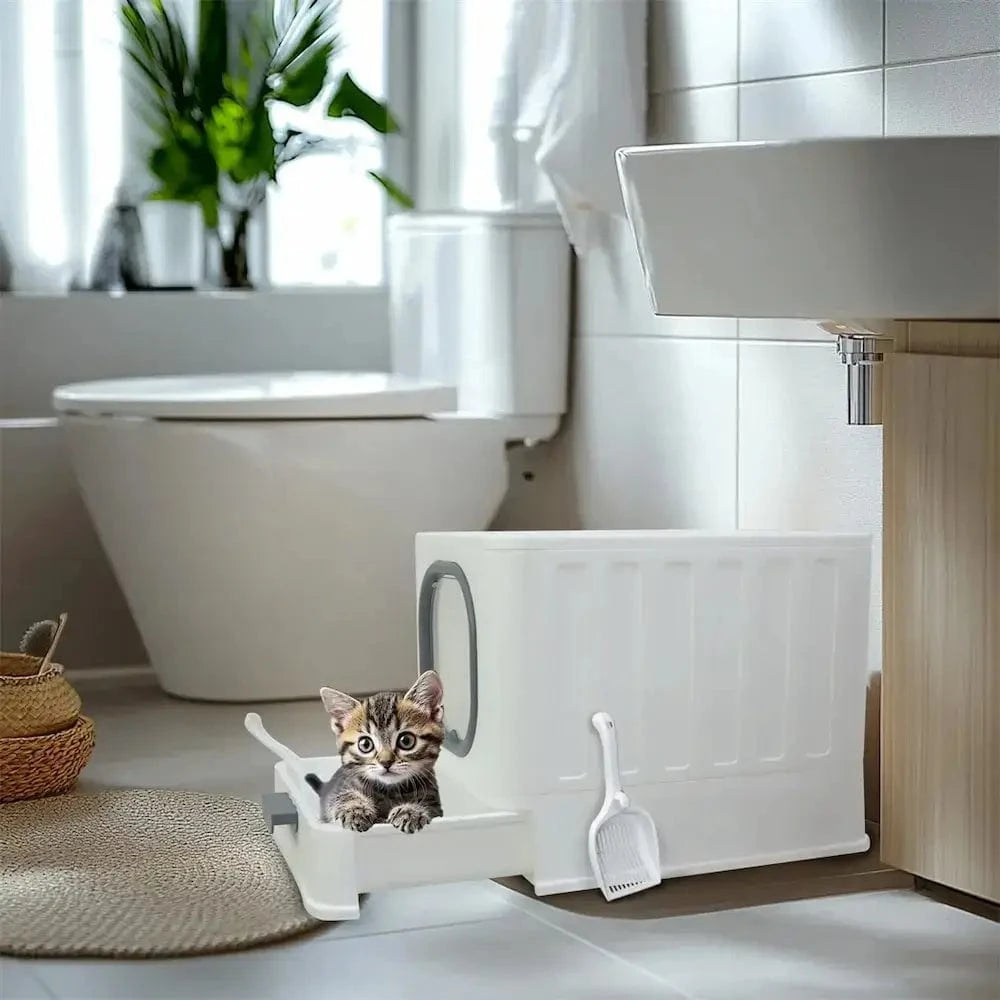 Cat Litter Anti-Odor – Cleanliness and Comfort Guaranteed 