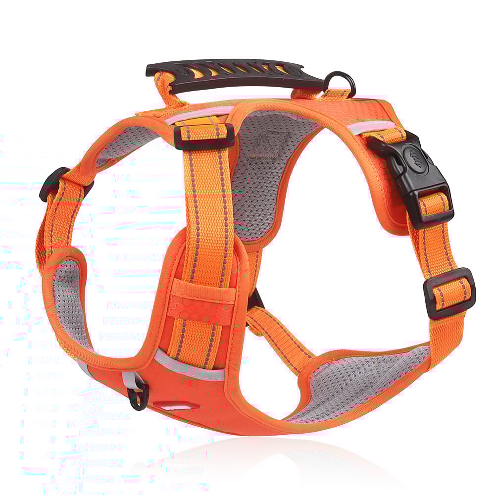 SafetyPup Reflective Harness