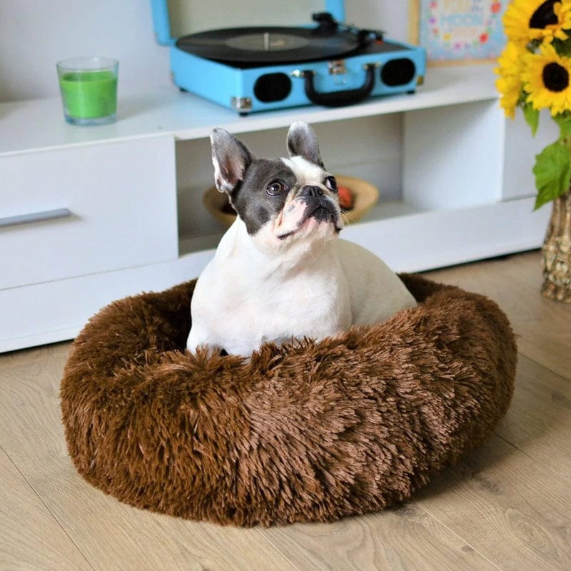 Letto Rilassante Ultra Morbido Per Animali – Comfort E Serenità 