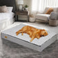 Lit Confort Pour Chien  – Idéal Pour Le Repos Et La Récupération