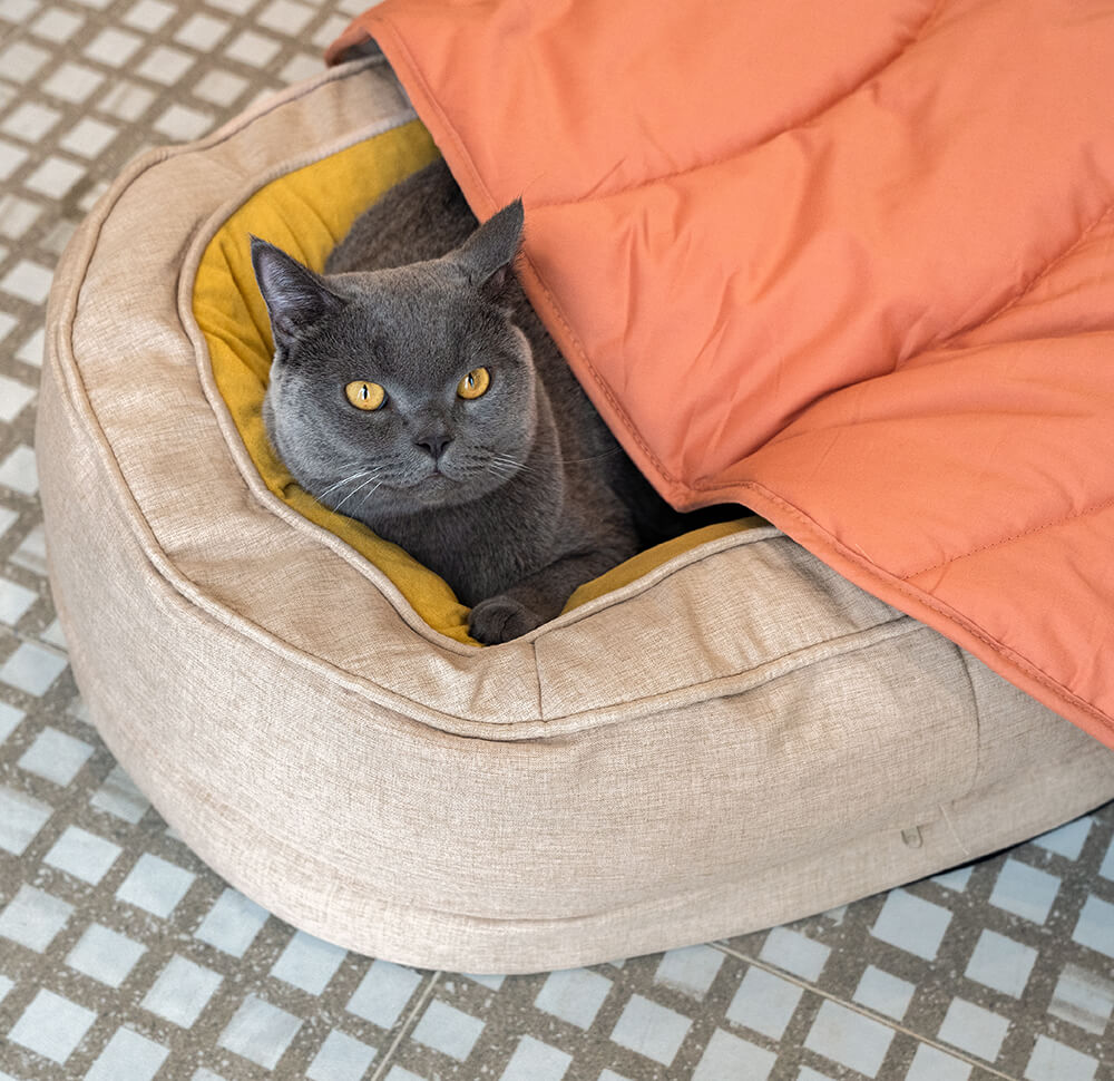 Dog Bed in Donut Shape – Comfort and Softness 