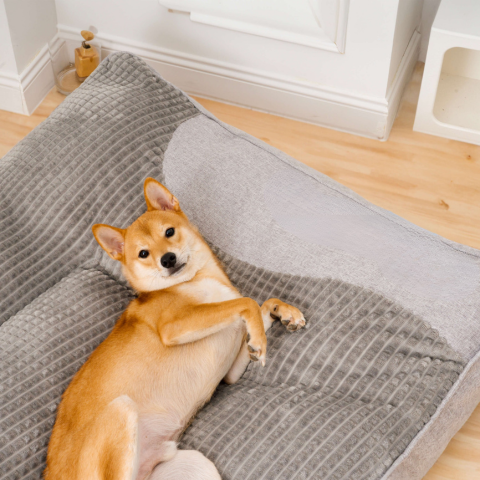 犬用大クッション – 最適な快適さとふんわりサポート 