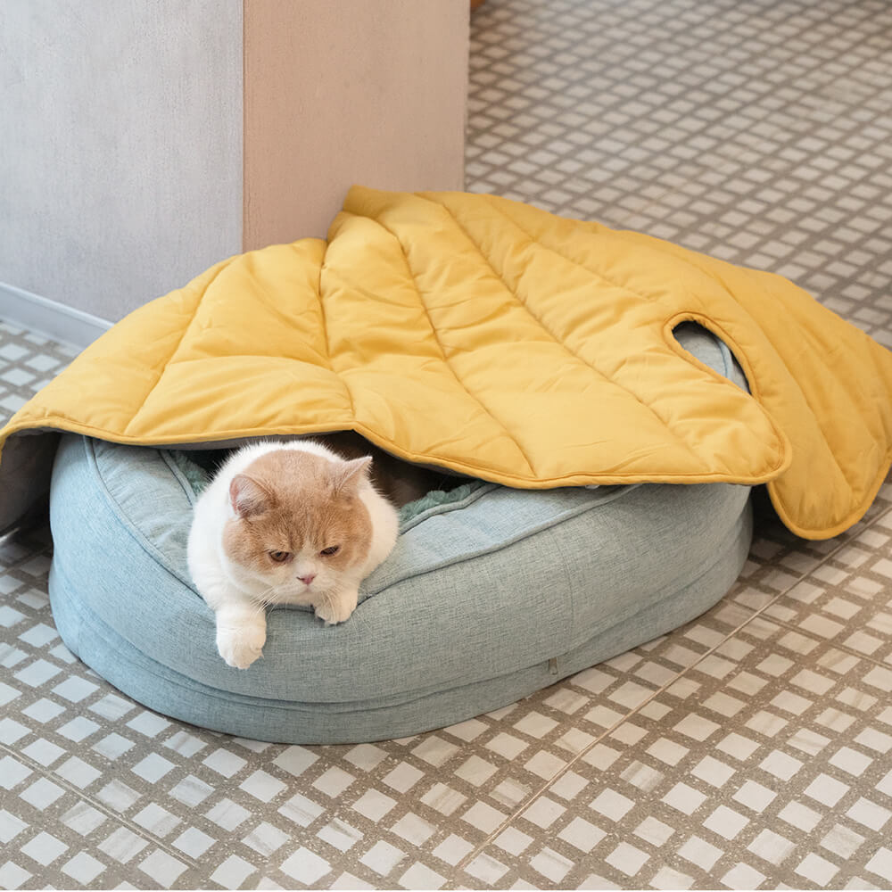 Dog Bed in Donut Shape – Comfort and Softness 