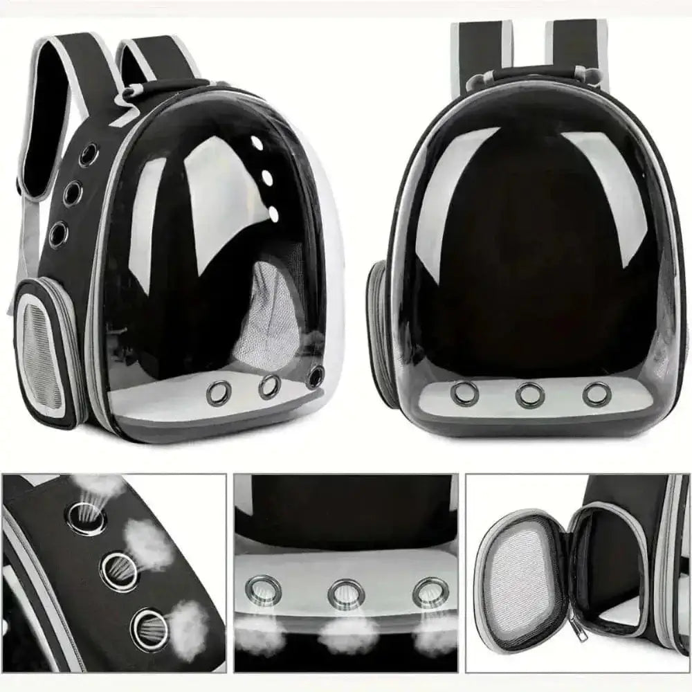 Bubble Backpack for Cats – Comfort and Safety While Traveling 