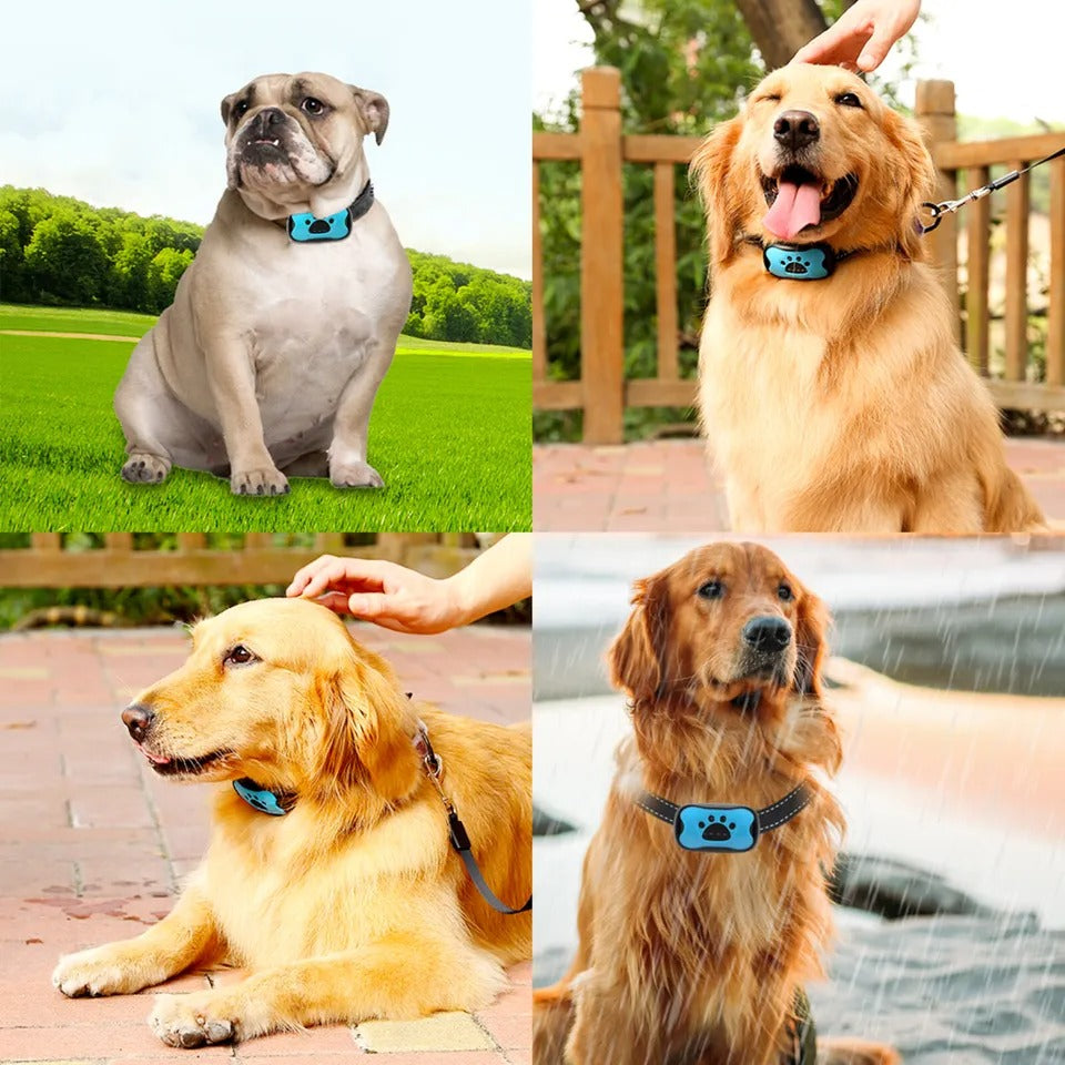 Colar Anti-Latido Para Cão — Treino Suave e Eficaz 